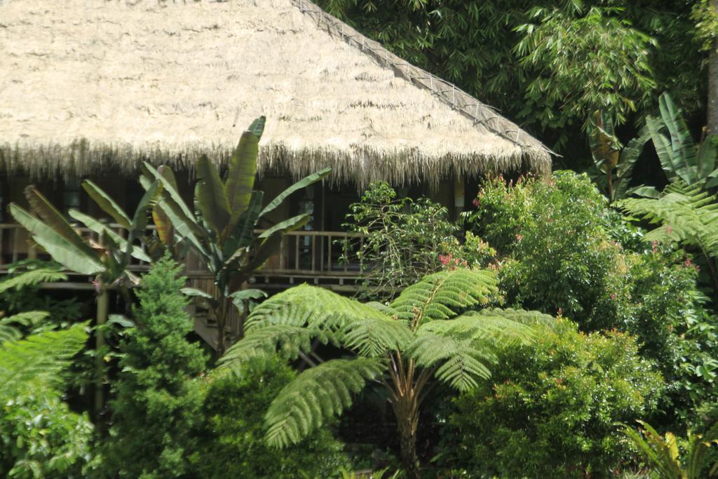 Отель Warung Rekreasi Bedugul Номер фото